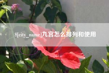 大竹九宫怎么排列和使用