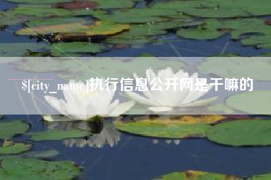 大竹执行信息公开网是干嘛的