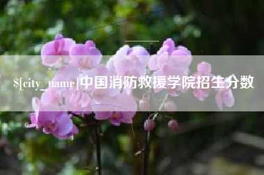 大竹中国消防救援学院招生分数