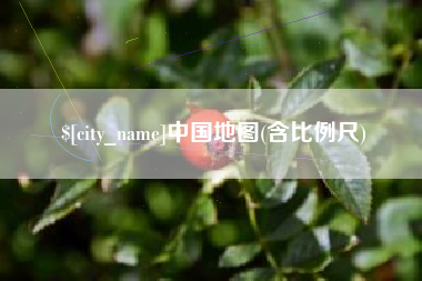大竹中国地图(含比例尺)