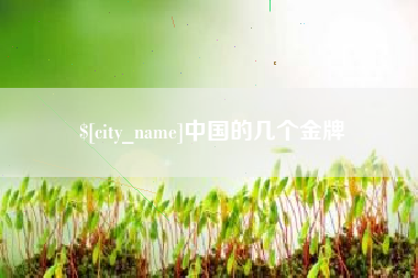 大竹中国的几个金牌