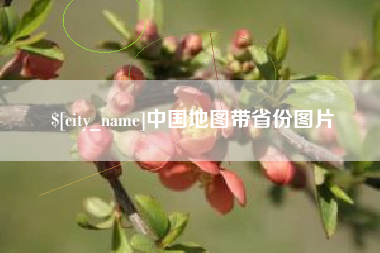 大竹中国地图带省份图片