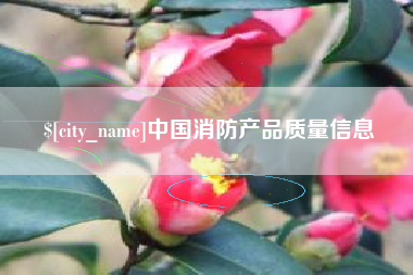 大竹中国消防产品质量信息