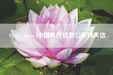 大竹中国执行信息公开网失信