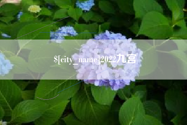 大竹2022九宫
