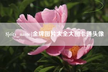 大竹金牌图片大全大图卡通头像