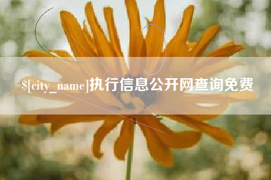 大竹执行信息公开网查询免费