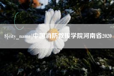 大竹中国消防救援学院河南省2020